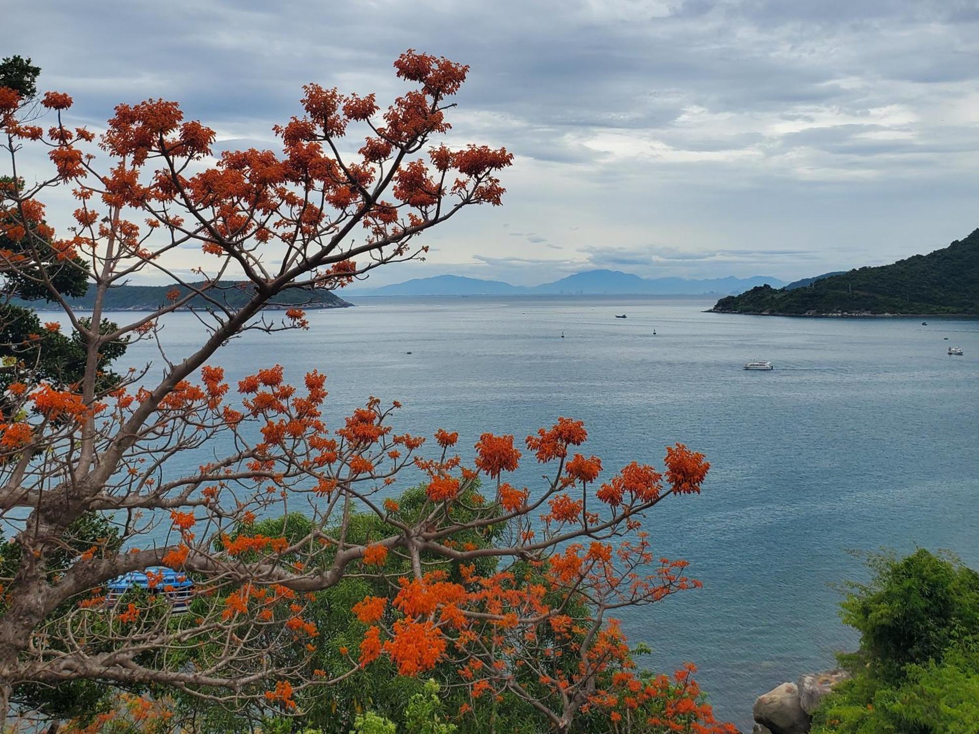Tuan Thanh Homestay Tân Hiệ Bagian luar foto